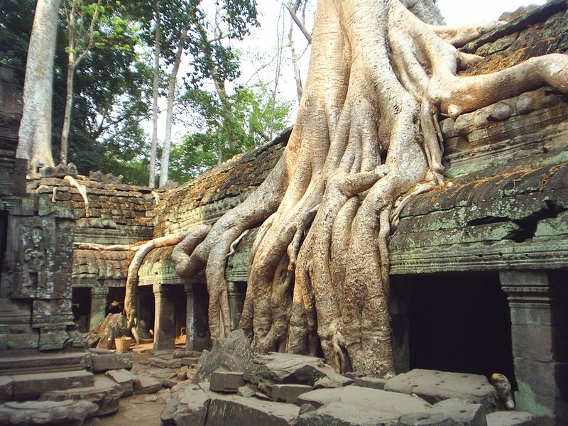 Angkor, Cambodge