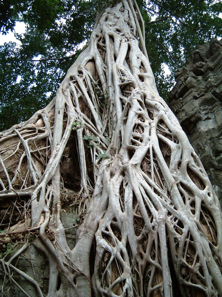 Angkor, Cambodge