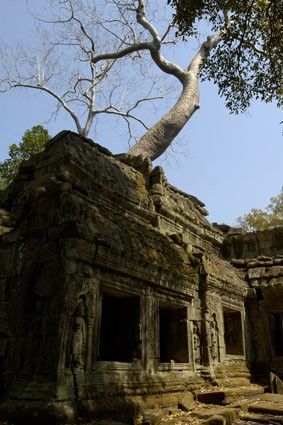 Angkor, Cambodge