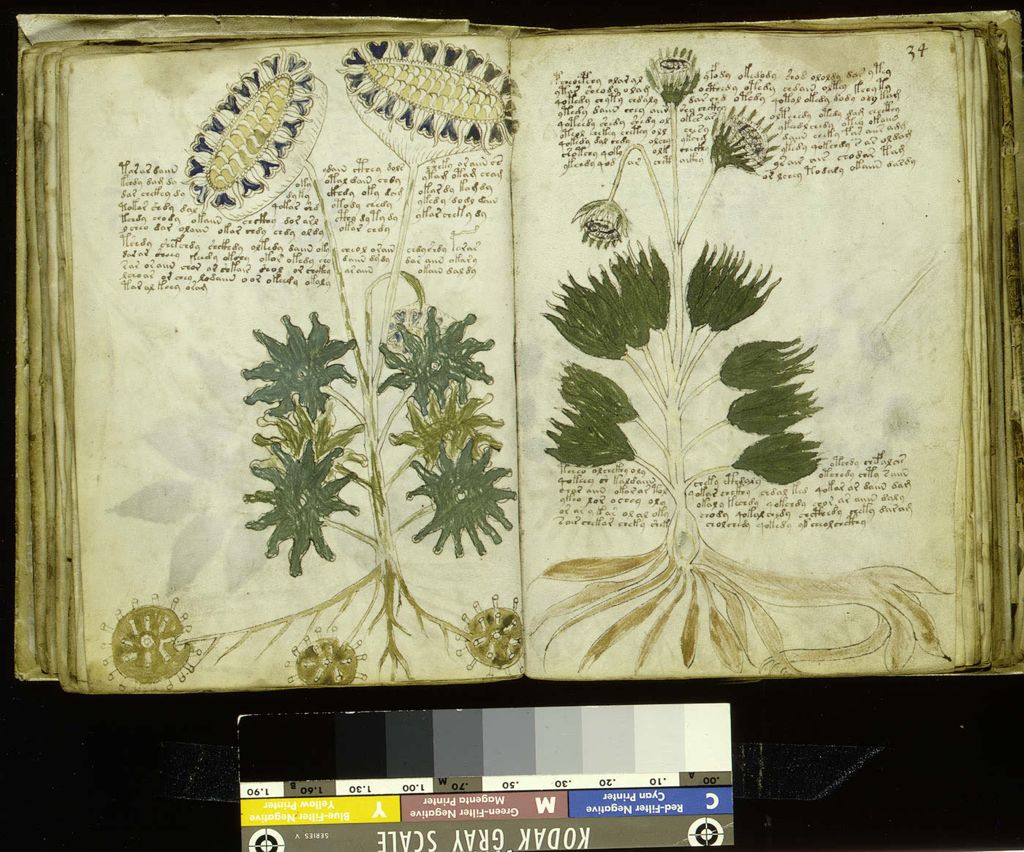 Glyphe-manuscrit de Voynich f33v