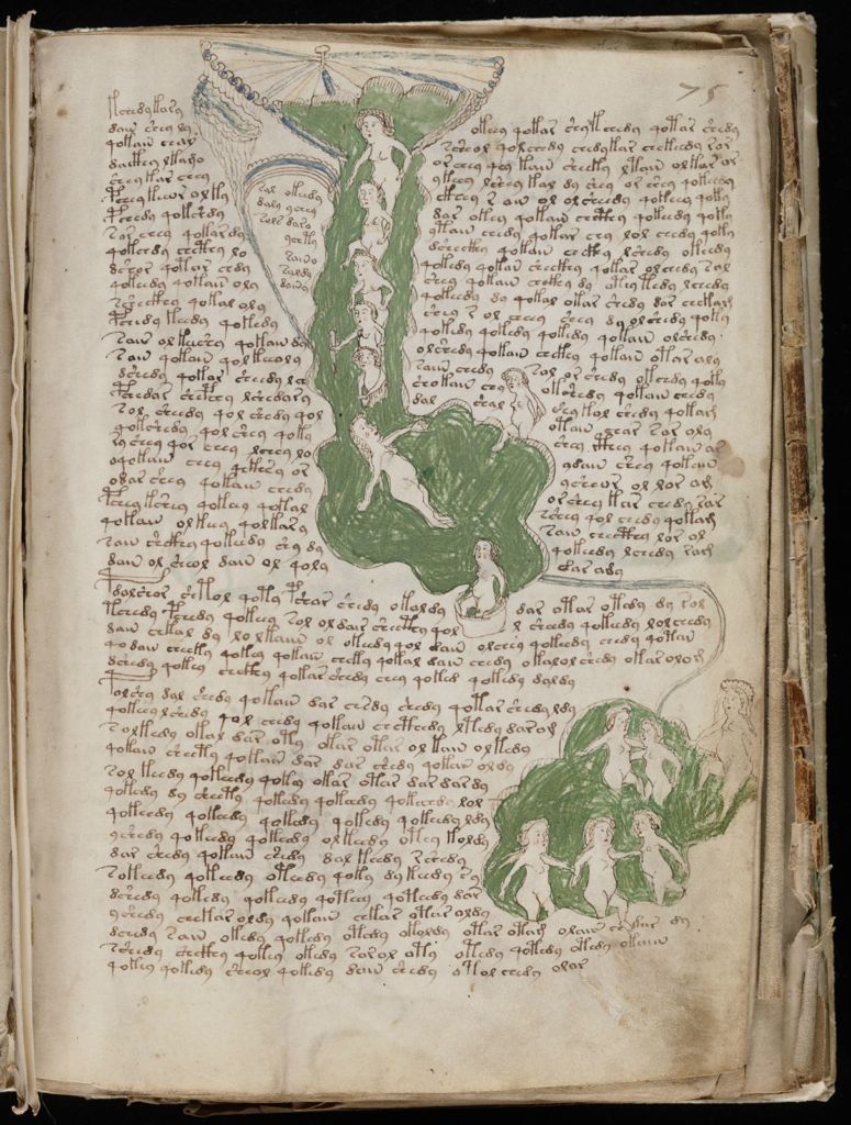 Glyphe-manuscrit de Voynich F75r