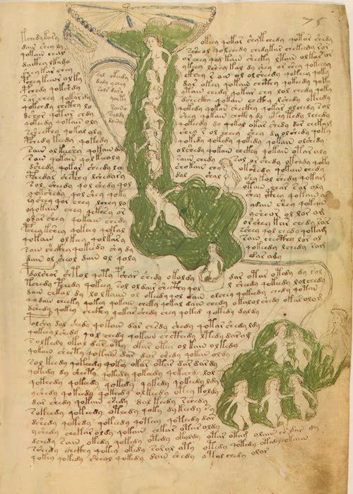 Glyphe-manuscrit de Voynich f75r