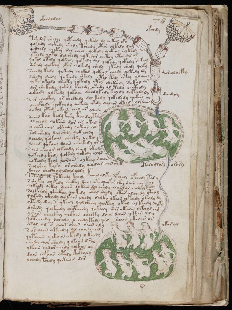 Glyphe-manuscrit de Voynich F78r