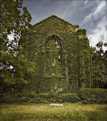 archi façade végétale
