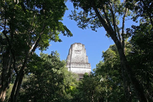 Tikal 2290---Pyramide-derri-re-arbres-Tikal