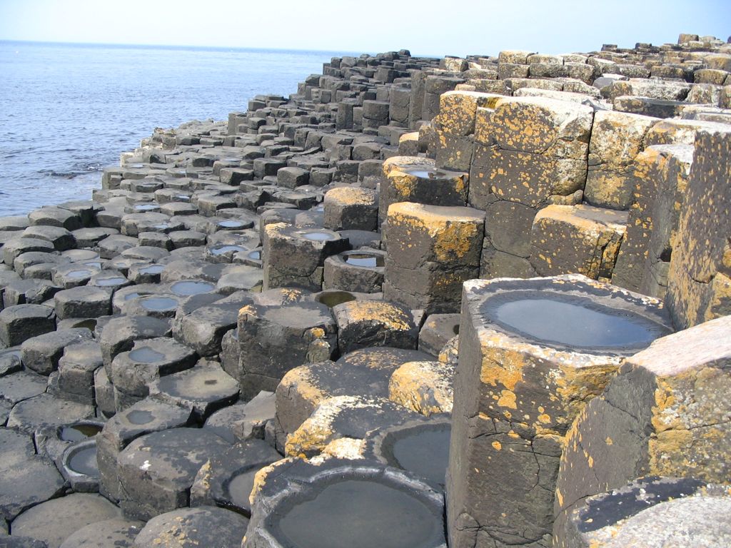 Chaussée des Géants_cellules_polygonales