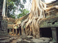 Angkor, Cambodge
