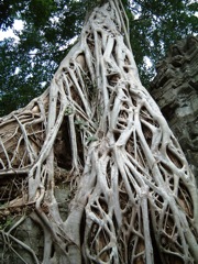 Angkor, Cambodge