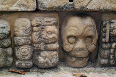 copan-2-1