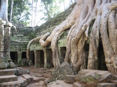 Angkor, Cambodge