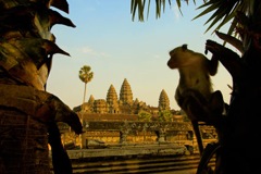 Angkor, Cambodge