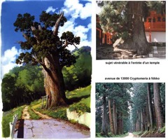 Etudes de Miyazaki autour des éléments naturels et légendaires du Japon