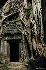 Angkor, Cambodge