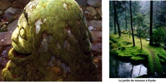 Etudes de Miyazaki autour des éléments naturels et légendaires du Japon