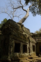 Angkor, Cambodge
