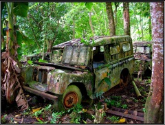 expedition épave jungle