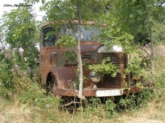 expedition Hotchkiss