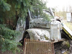 expedition hotchkissdieselwz5