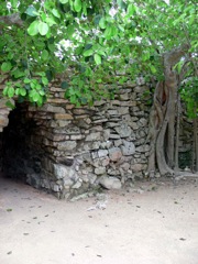 arbrestulum