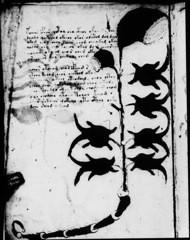 Glyphe-manuscrit de Voynich f03v