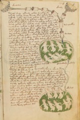 Glyphe-manuscrit de Voynich f78r