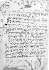 Glyphe-manuscrit de Voynich f80r