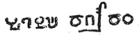 glyphes IMMU