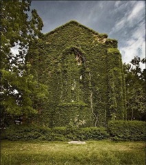 archi façade végétale