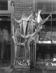 Monstre Quelques éléments graphiques autour des Mythes de Cthulu, d'après Lovecraft