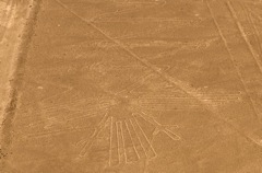 Nazca_oiseau