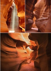 Petra-Anthilope