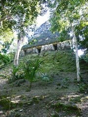 Tikal 2289---Pyramide-recouverte-Tikal