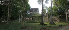 Tikal 2291---Pano-pyramides-pique-nique-Tikal