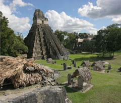 Tikal 2295---Pano-pyramide-et-palais-Tikal