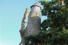 végétalisation