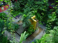 végétation installation