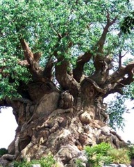 vegetation sculpture arboricole Disneyland