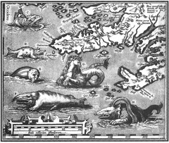 Carte monstres